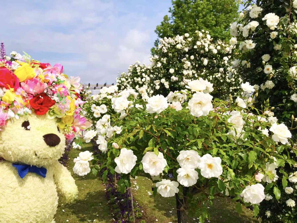 【公式】ガーデンネックレス横浜さんの山下公園への投稿