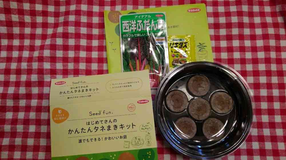 Seed fun かんたんタネまきキット ～種まきから植え付けまで