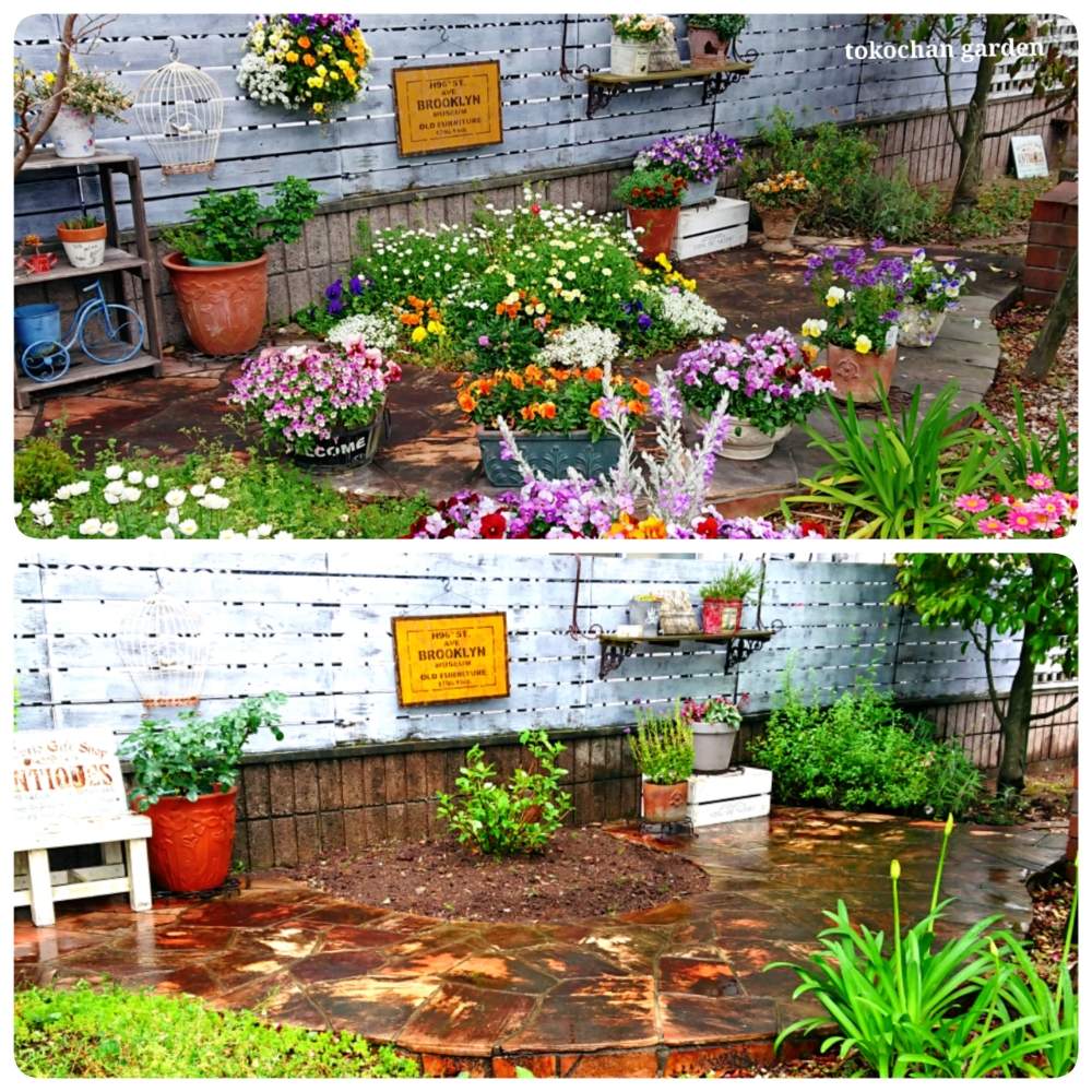 ガーデニングの投稿画像 By Tokochan Styleさん マイガーデンと板塀と庭の掃除とおうち園芸 月5月17日 Greensnap グリーンスナップ
