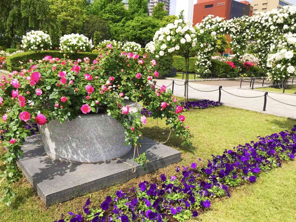 【公式】ガーデンネックレス横浜さんの山下公園への投稿