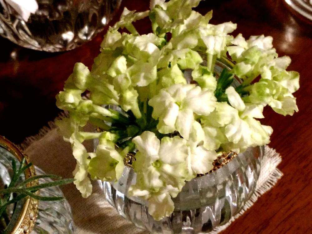 バーベナ ラナイ ライムグリーンの投稿画像 By Miuさん おうちで飾るお花 と花のある暮らしと白い花と小さな花と優しい色 月5月18日 Greensnap グリーンスナップ