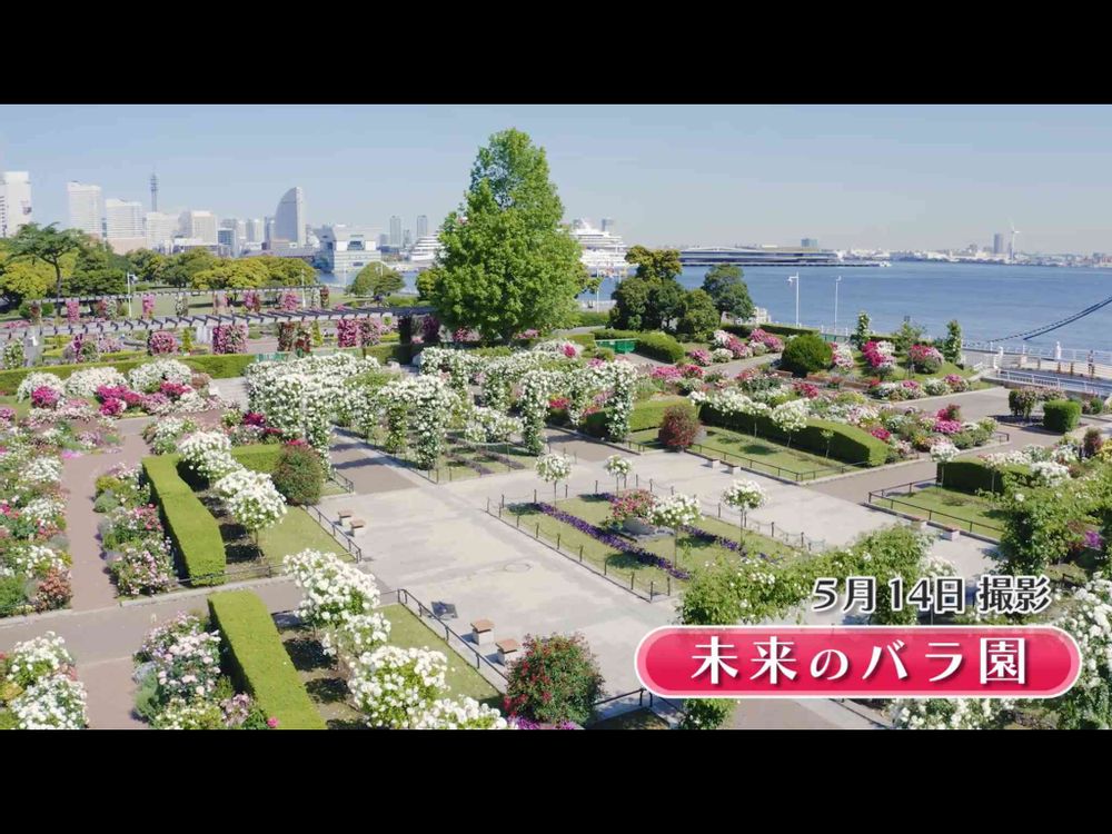 【公式】ガーデンネックレス横浜さんの港の見える丘公園への投稿