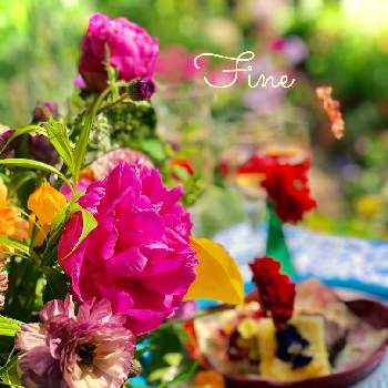 エディブルフラワーの画像 by イングリッシュガーデンさん | 小さな庭とアザミとカラーとサンダーソニアとラナンキュラスとラナンキュラスとエディブルフラワーとしゃくやくとローゼルとEGありがとうございますとかわいい♡とEG料理とGS映えと今日のうれしかったこととおうち園芸とおうちで飾るお花 と綺麗なお花とお庭の植物と可愛いと花のある暮らしとGSアダルトチームとかわいいな♡と色合いがキレイとチーム愛知