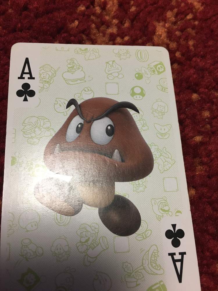 いぶさんの投稿画像 月5月19日 Greensnap グリーンスナップ