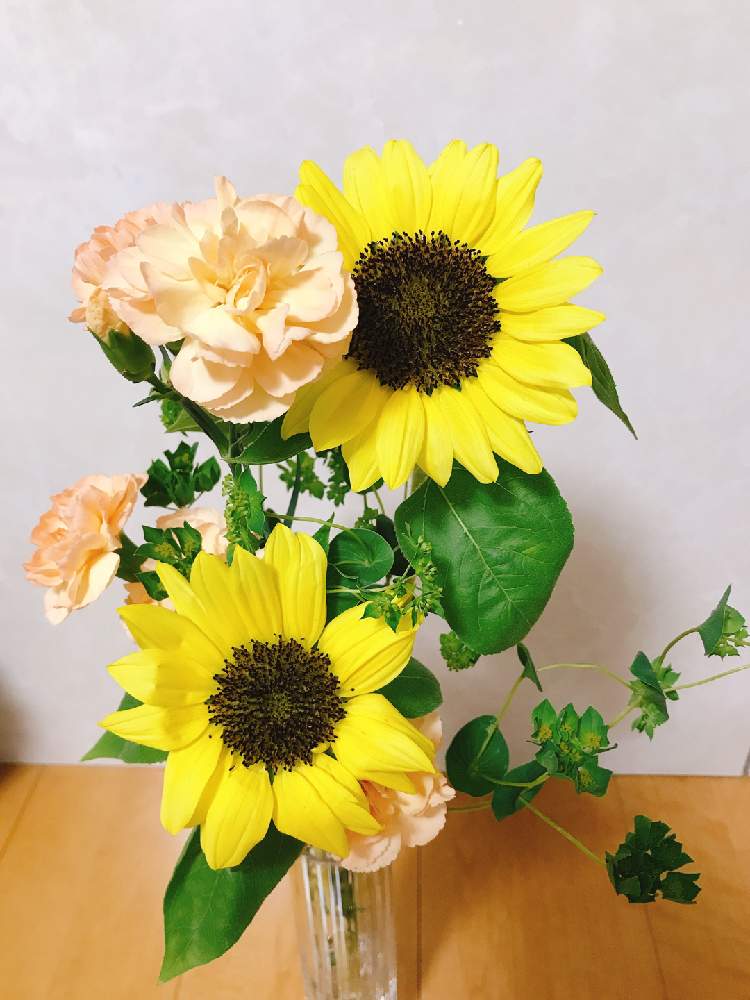 ブプレリウムの投稿画像 By にこさん カーネーションとミニ向日葵と花のある暮らしとおうちで飾るお花 月5月日 Greensnap グリーンスナップ