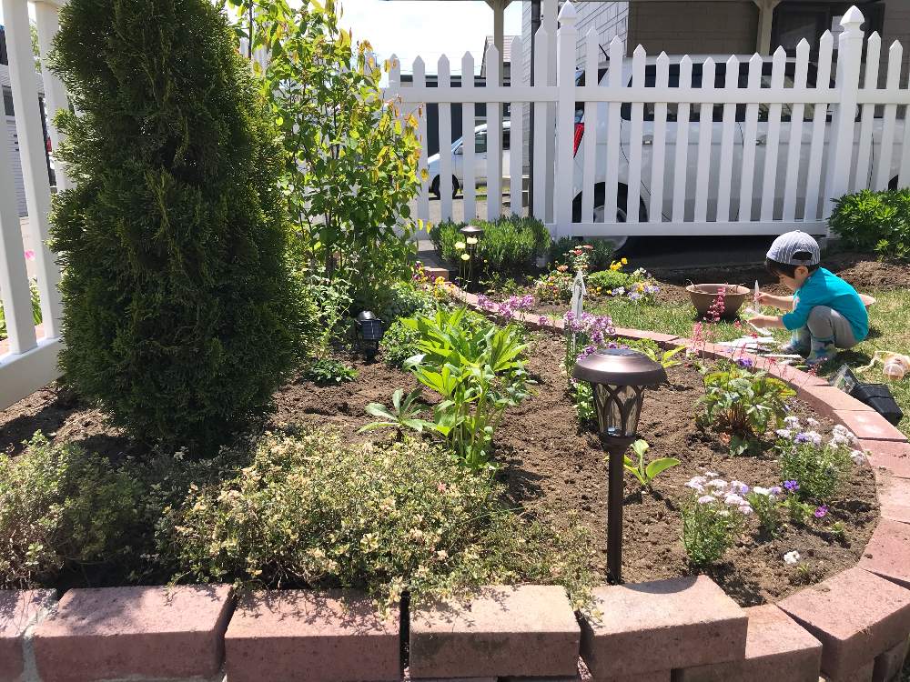 レンガの花壇の投稿画像 By ひまわり 更地からお庭作り さん 北海道の春と春の庭と花壇diyとおうち園芸と花のある暮らしと北海道の庭と北海道 月5月21日 Greensnap グリーンスナップ