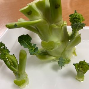 アートな野菜,再生&創作　怪獣,キッチンの画像