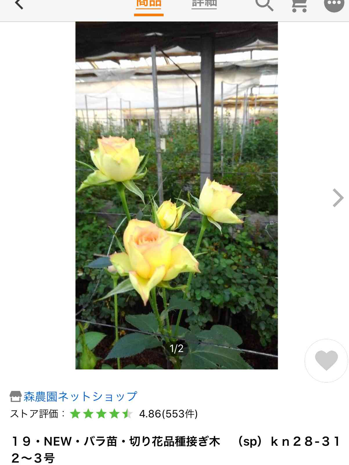 うふふの切り花種 薔薇の記録つくりました｜🍀GreenSnap（グリーンスナップ）