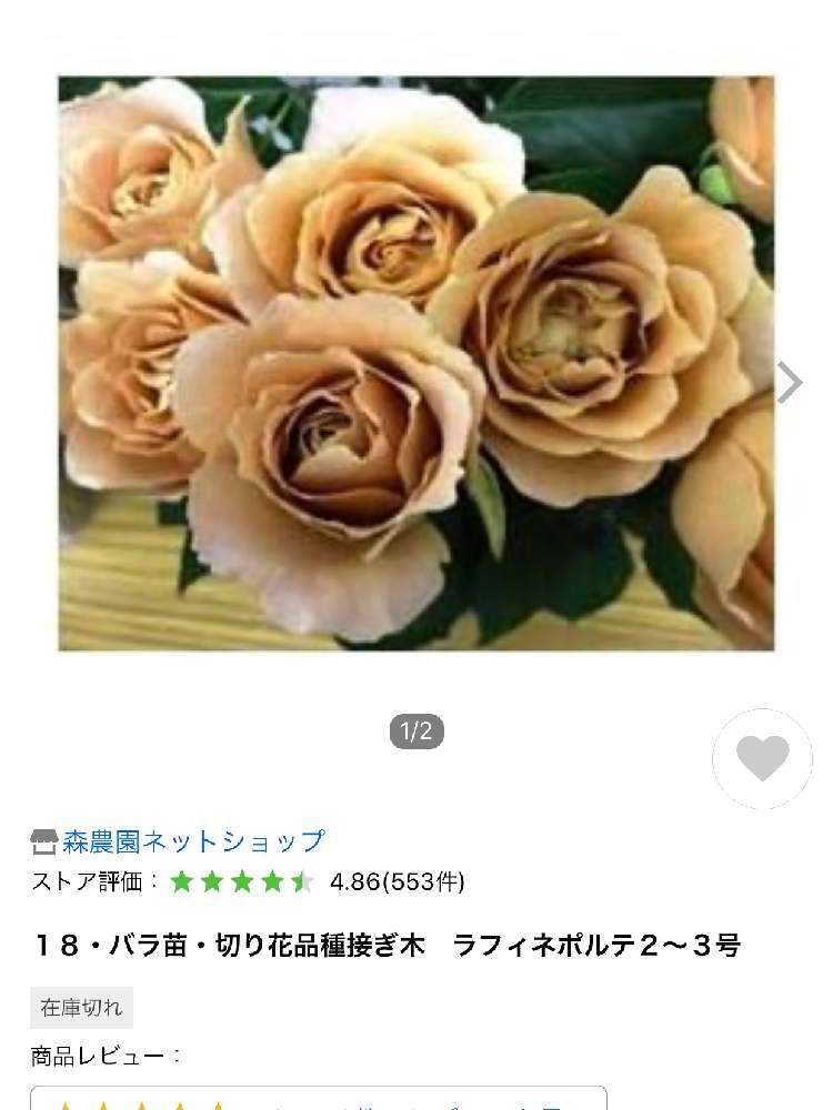 薔薇ページ 切り花品種のバラ｜園芸日記byノンナ@JP｜みんなの趣味の園芸