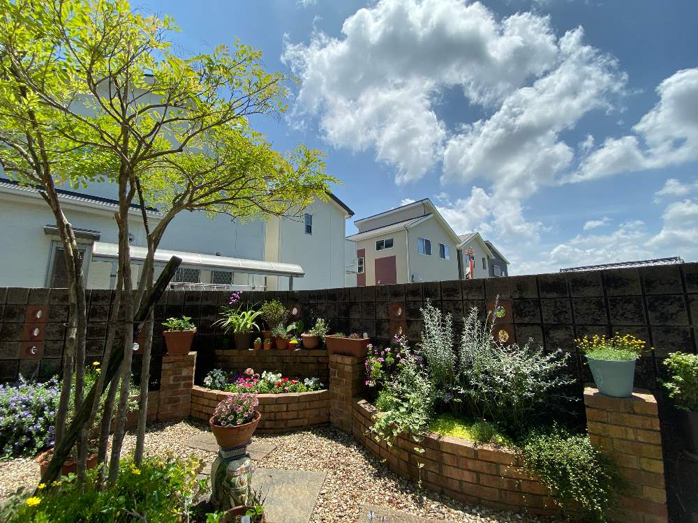 広い庭の投稿画像 By Wiwaさん マイガーデンとおうち園芸とマイガーデンとおうち園芸 月5月23日 Greensnap グリーンスナップ Greensnap グリーンスナップ