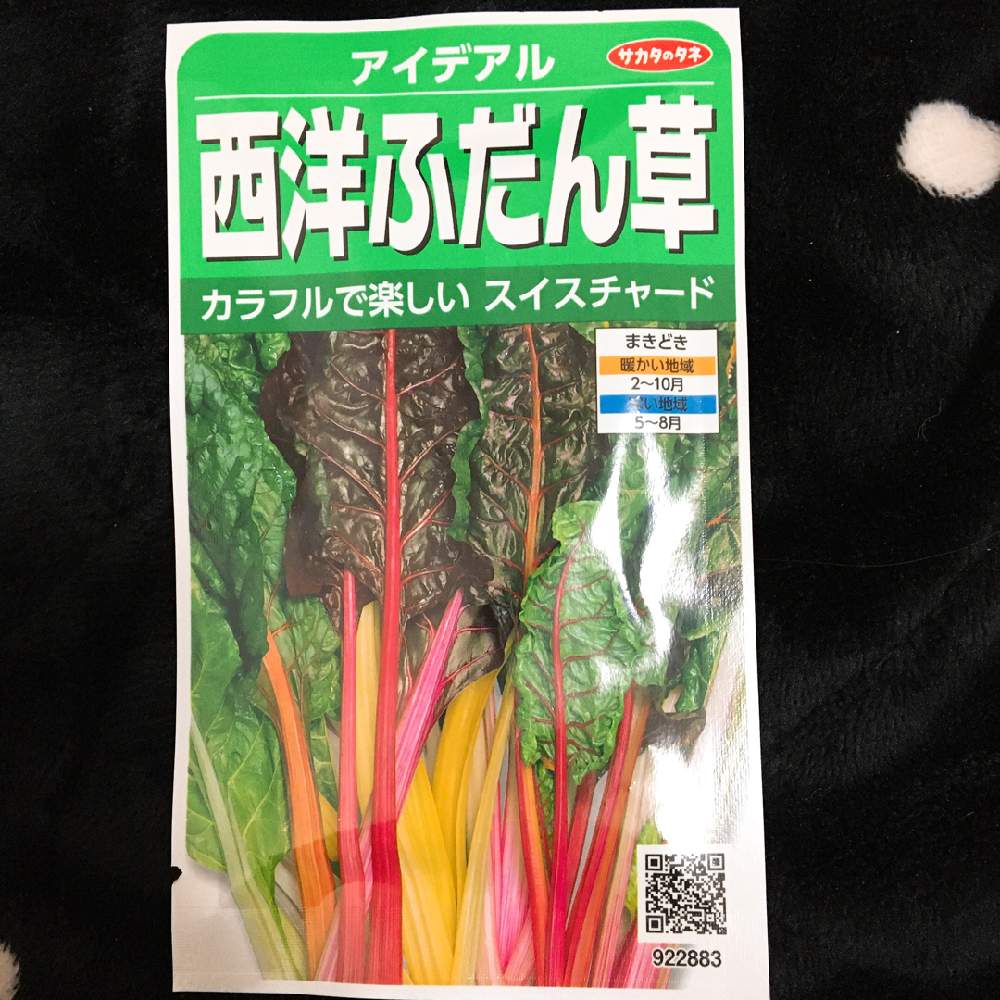 スイスチャード 西洋ふだん草 を育てて食べる Greensnap グリーンスナップ