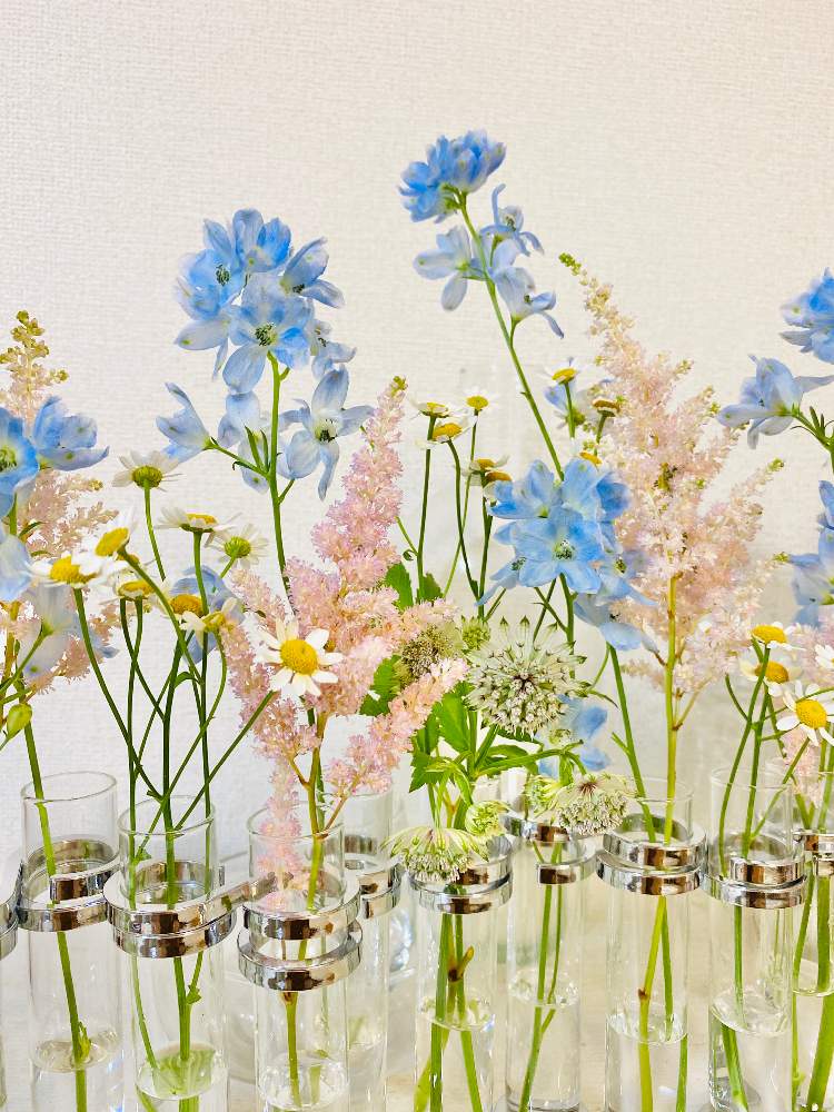部屋の投稿画像 By ムミーンさん アストランティアの花とブルーとおうちで飾るお花 とピンクと デルフィニウムとアスチルベ とダルトン リンクチューブベースとマトリカリア と切り花とアストランティアの花とブルーとおうちで飾るお花 とピンクと デルフィニウムと 部屋の投稿画像 By ムミーンさん アストランティアの花とブルーとおうちで飾るお花 とピンクと デルフィニウムとアスチルベ とダルトン リンクチューブベースとマトリカリア と切り花とアストランティアの花とブルーとおうちで飾るお花 とピンクと デルフィニウムと