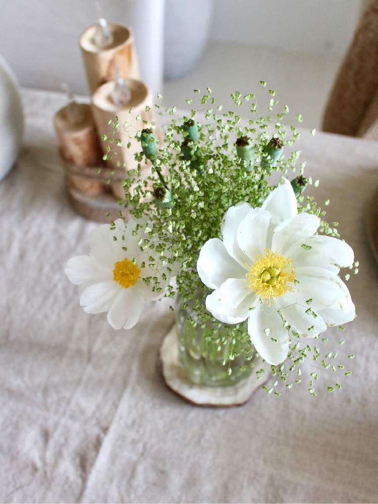芍薬の投稿画像 By Kaneyukiさん 雑草とブーケと小さな花束とおうちで飾るお花 と癒しを求めてとテーブルフラワー 月5月24日 Greensnap グリーンスナップ