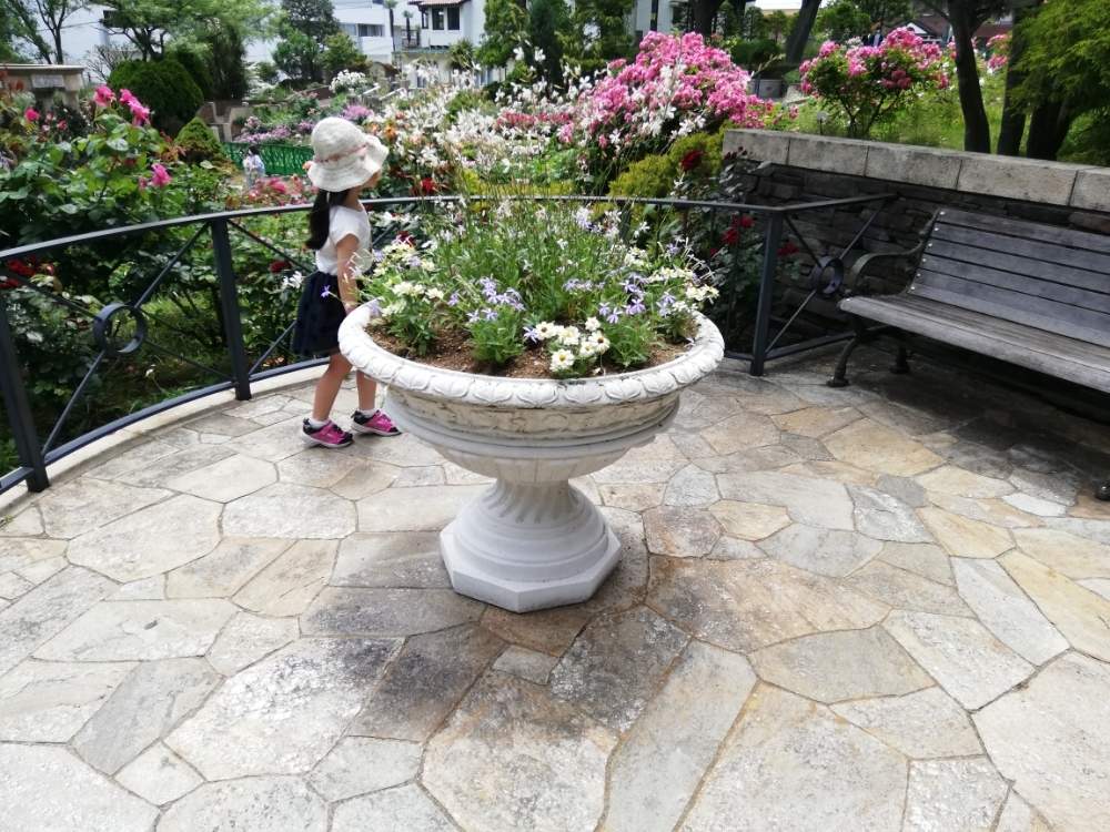 港の見える丘公園 Greensnap グリーンスナップ