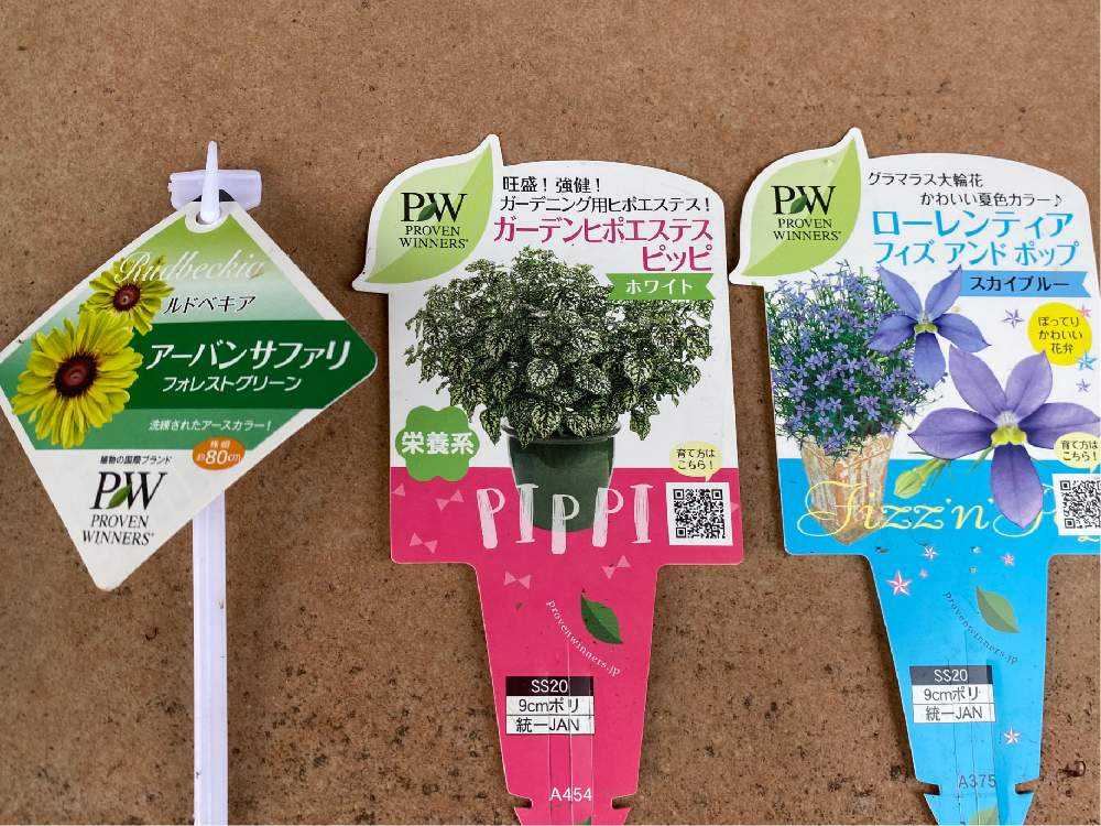 Pw春のアンバサダーに選んで頂いて 一斉に春のお花を模様替え Greensnap グリーンスナップ