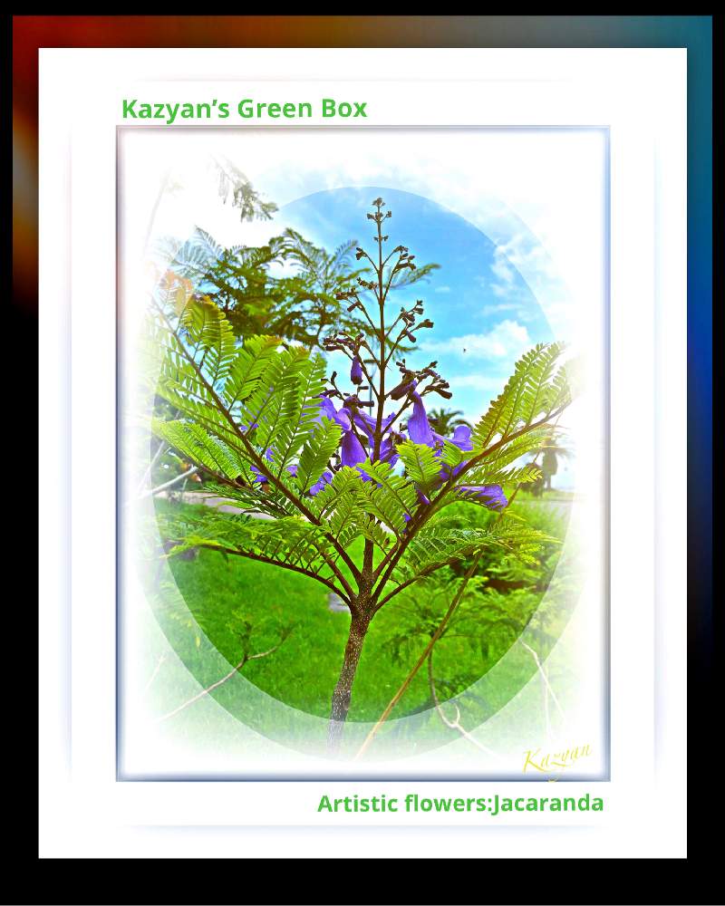 ジャカランダの投稿画像 By Kazyanさん ジャカランダの森 和堂と日南海岸シリーズ 和堂 月5月25日 Greensnap グリーンスナップ