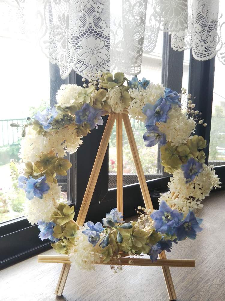 うちで過ごそうの投稿画像 By うさぎyyさん 今日もがんばろとかすみ草 ドライと紫陽花 アジサイ あじさいとアナベル 紫陽花とドライフラワー リースと デルフィニウムとリースとアジサイ 紫陽花と森の負けないぞ とデルフィニウム青とおうち園芸とおうちで飾るお花 と
