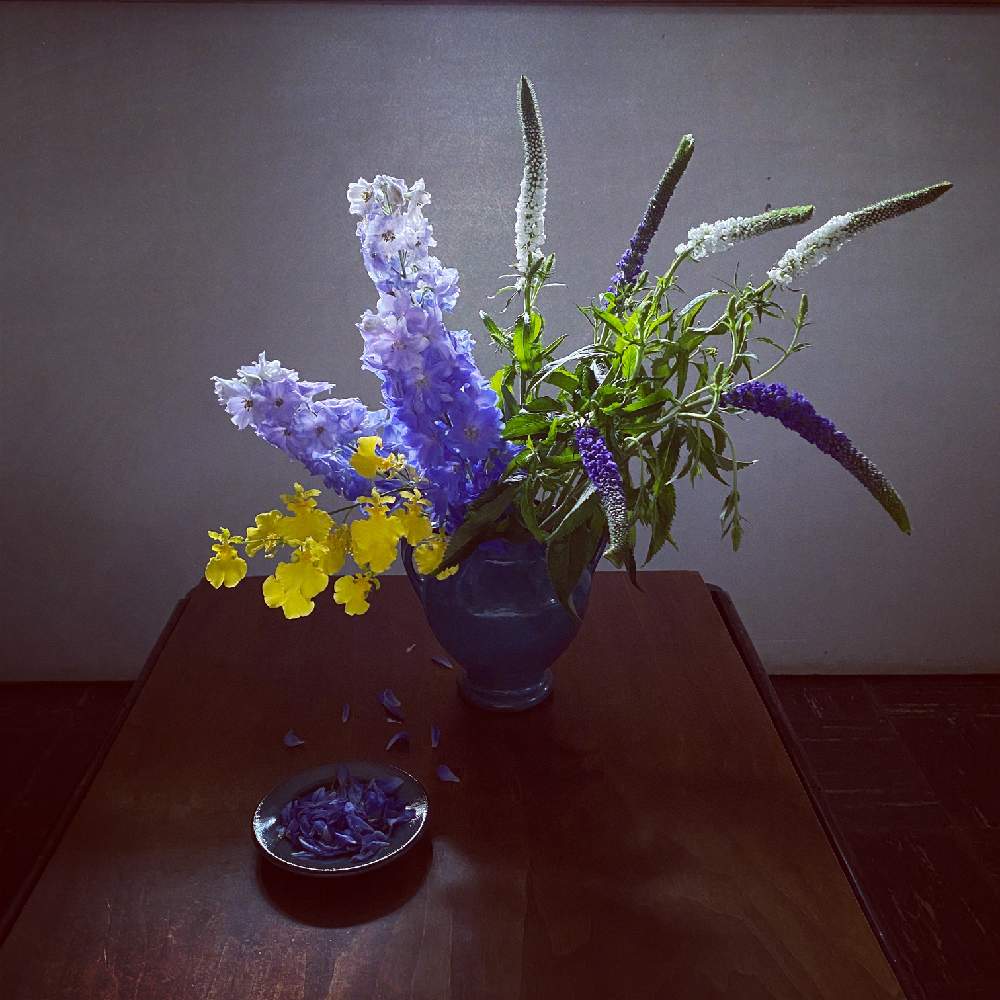 ベロニカの投稿画像 By Akanepotteryさん デルフィニウムとオンシジュームと花器となげいれと青い花とおうちで飾るお花 と生花と花 のある暮らしと切り花 月5月27日 Greensnap グリーンスナップ
