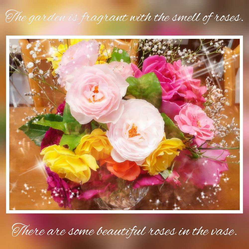 可憐な花の投稿画像 By ケイさん ばら バラ 薔薇ときれいとにわとおうち園芸とピンクと庭のある暮らしと父の趣味とガーデニングとおしゃれと花のある暮らしとかわいい 月5月28日 Greensnap グリーンスナップ