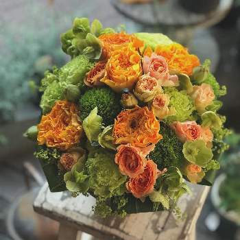 退職祝いの投稿画像一覧 Greensnap グリーンスナップ