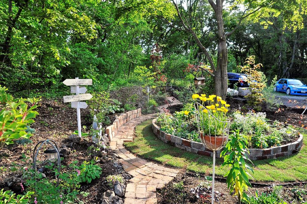 軽井沢の投稿画像 By サロンさん マイガーデンとナチュラルガーデンとサロンガーデンとガーデニングフェスフォトコンと自然派とカラーリーフガーデン 月5月29日 Greensnap グリーンスナップ