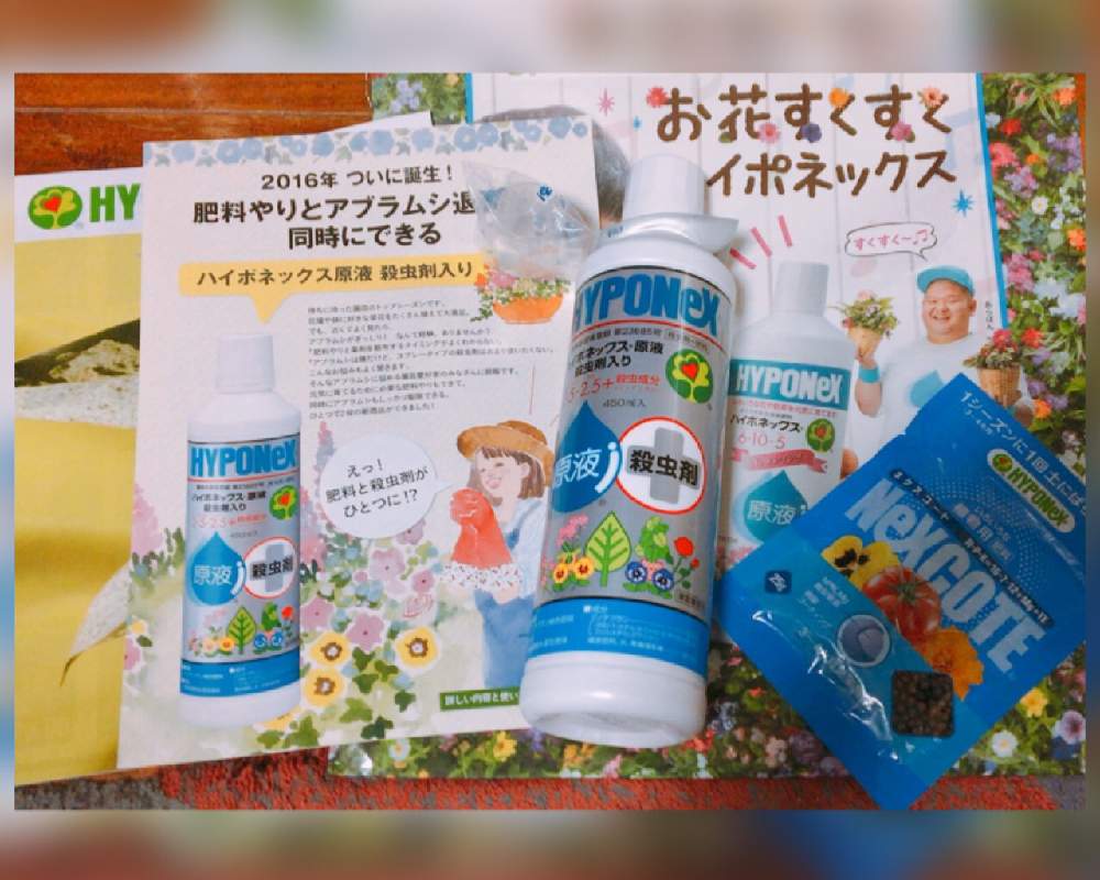 ハイポネックス 殺虫剤の投稿画像 By なおっちさん 肥料とハイポネックス殺虫剤入りと ハイポネックス園芸部 月5月30日 Greensnap グリーンスナップ