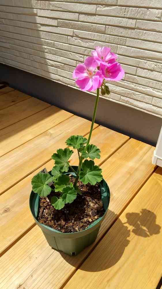 1590816766330_413178_20200530_