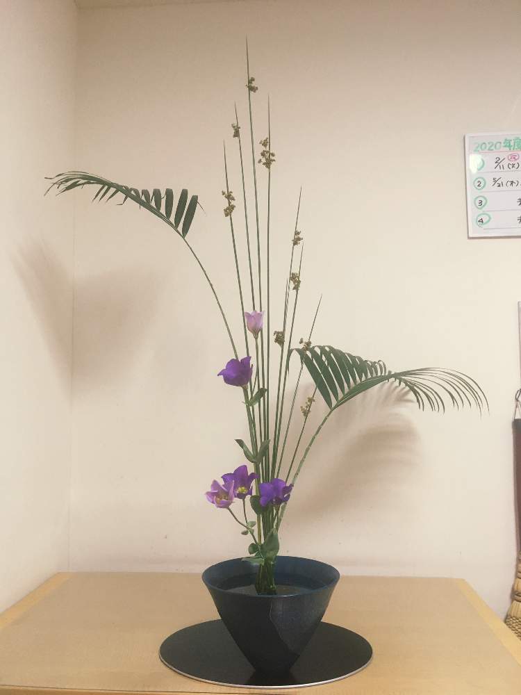 トルコキキョウの投稿画像 By Suihoさん アレカヤシとイグサと部屋と四季の彩りとお稽古と夏が来た とおうちで飾るお花 と生花と池坊といけばなと花のある暮らしと四季の彩りとお稽古と夏が来た とおうちで飾るお花 と生花と池坊といけばなと花のある暮らし 月5月
