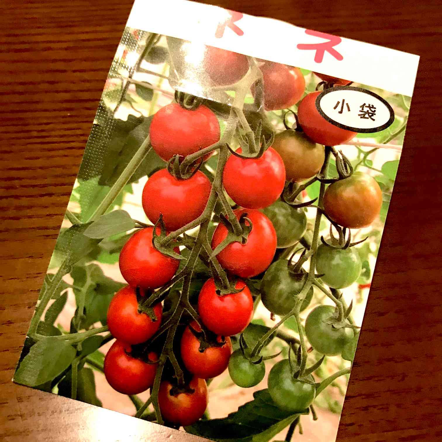 トマト ホームハイポニカ601 でミニトマトネネの栽培に挑戦