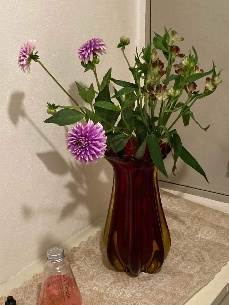 ダリアの投稿画像 By Lala0224さん アリストロメリアと玄関花と花のある暮らしとダリア とおうちで飾るお花 月5月31日 Greensnap グリーンスナップ