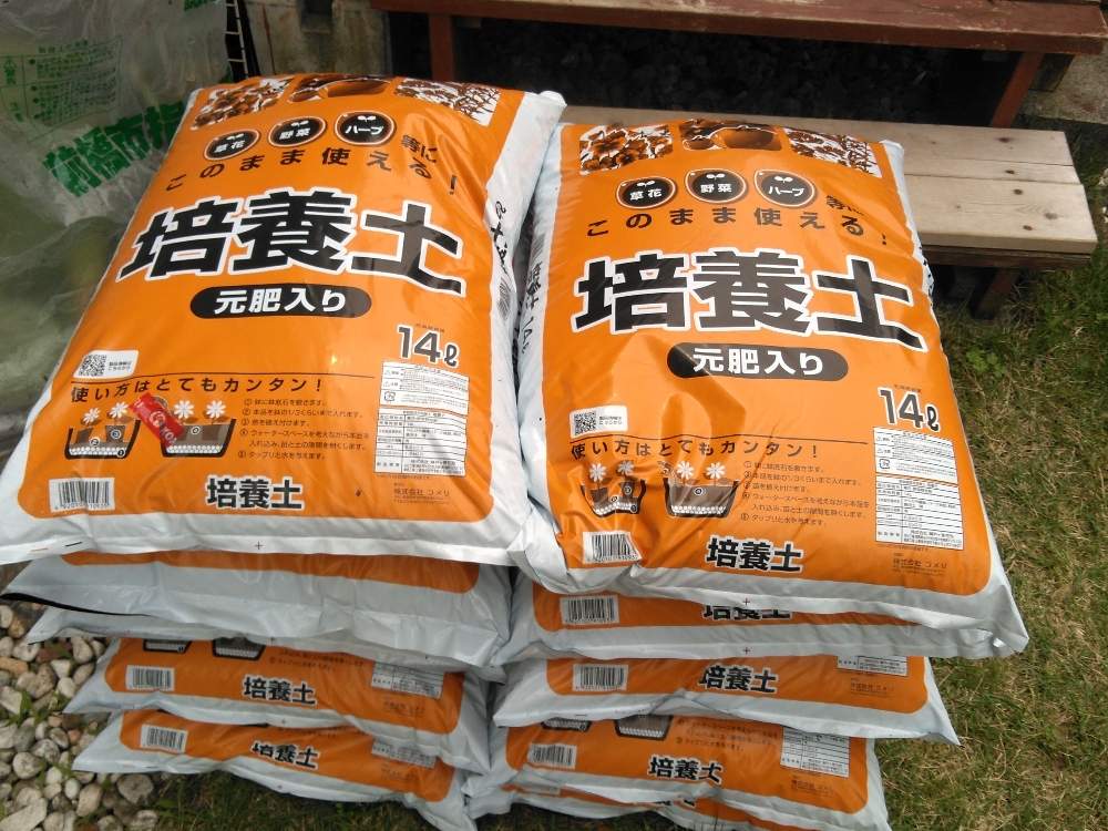 小さな庭の投稿画像 By こじるんさん たねからの幸せとプランター野菜と家庭菜園とおうちde菜園とにわととまととトマト栽培とやさいとf2ミニトマトと家庭菜園奮闘日記とたねからの幸せとプランター野菜と家庭菜園とおうちde菜園とにわととまととトマト栽培とやさいとf2