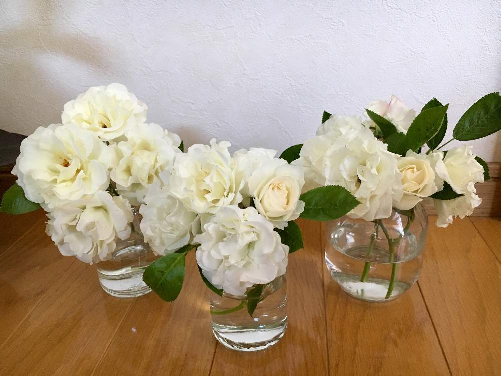 バラの投稿画像 By みるきーさん 花瓶と花のある暮らし 月5月31日 Greensnap グリーンスナップ