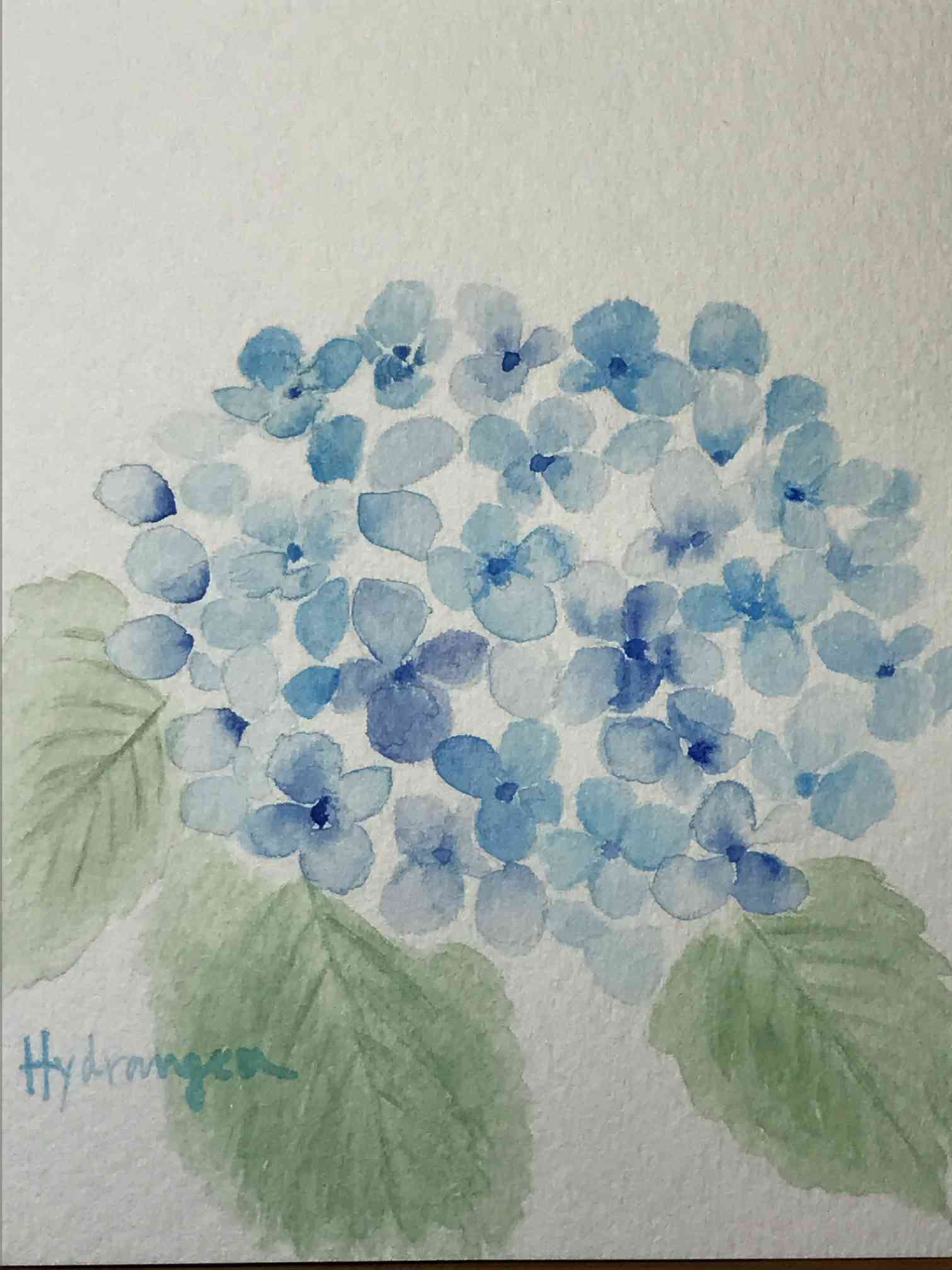 人気商品】 水彩画 紫陽花 アジサイ econet.bi