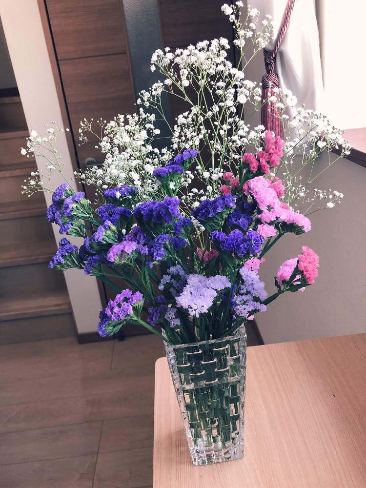 スターチスの投稿画像 By I Na34さん かすみ草と部屋と涼しげとおうちで飾るお花 と可愛いとかすみ草 と花のある暮らしとスターチス と涼しげとおうちで飾るお花 と可愛いとかすみ草 と花のある暮らしとスターチス 月6月2日 Greensnap グリーンスナップ