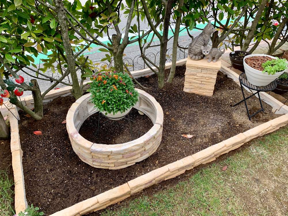 レッドロビンの投稿画像 By 黄身さん ビオラ コリーナ テラコッタと小さな庭とお庭改造とガーデニング2年生とおうち園芸と北陸地方と植中毒と おうち園芸 フォトコンテストと花壇作りと私の花壇と花のある暮らしと石川県とお庭改造とガーデニング2年生とおうち園芸と レッドロビンの投稿画像 By 黄身さん ビオラ コリーナ テラコッタと小さな庭とお庭改造とガーデニング2年生とおうち園芸と北陸地方と植中毒と おうち園芸 フォトコンテストと花壇作りと私の花壇と花のある暮らしと石川県とお庭改造とガーデニング2年生とおうち園芸と