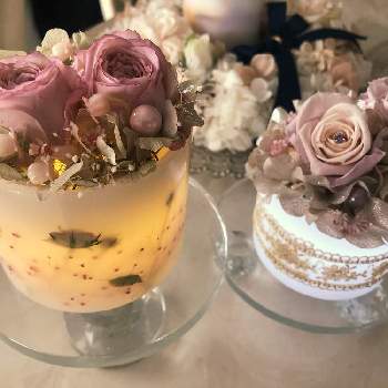 花キャンドルの投稿画像一覧 Greensnap グリーンスナップ