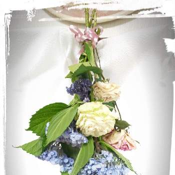 紫陽花アレンジの投稿画像一覧 Greensnap グリーンスナップ