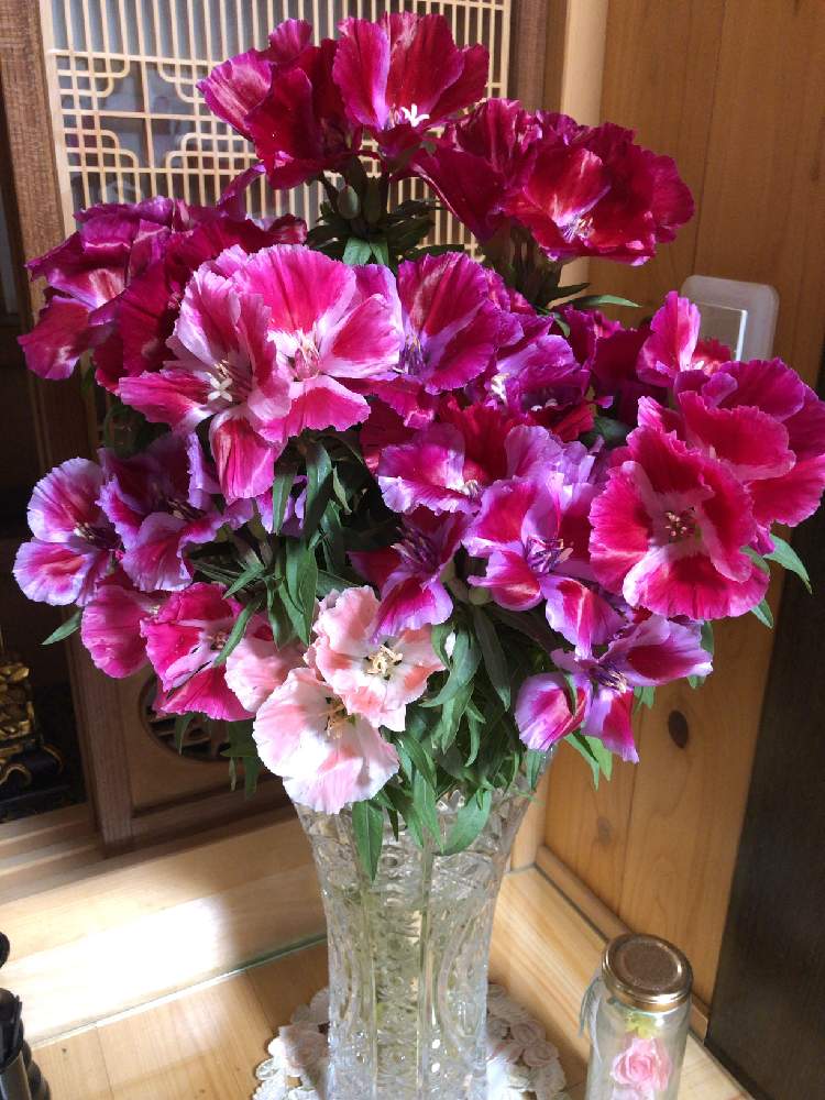 ゴテチャの投稿画像 By まゆっちさん 仏花とゴテチャの花とがんばれ 千葉 と地球平和と畑の花と新型コロナウィルスに負けるなと自宅の仏花用とうがい 手洗い マスクですよとゴテチャ とおうちで飾るお花 と美しいと頑張ろう千葉と義母の遺産とがんばろう福島 月