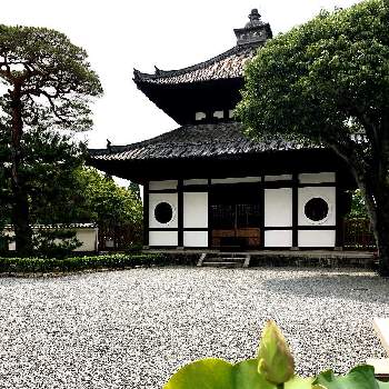 ひとり旅の画像 by 世津ちゃんさん | 京都と東福寺とひとり旅