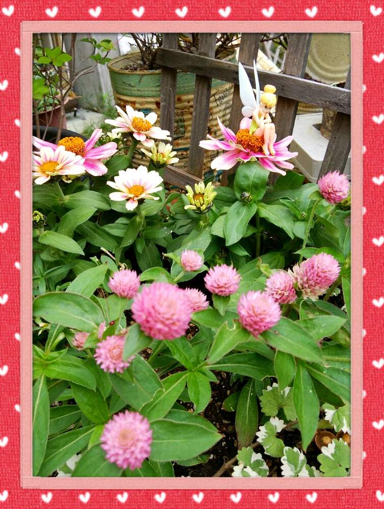 お取り置きになりました(。ᵕᴗᵕ。)「紫陽花♡ピンク系」