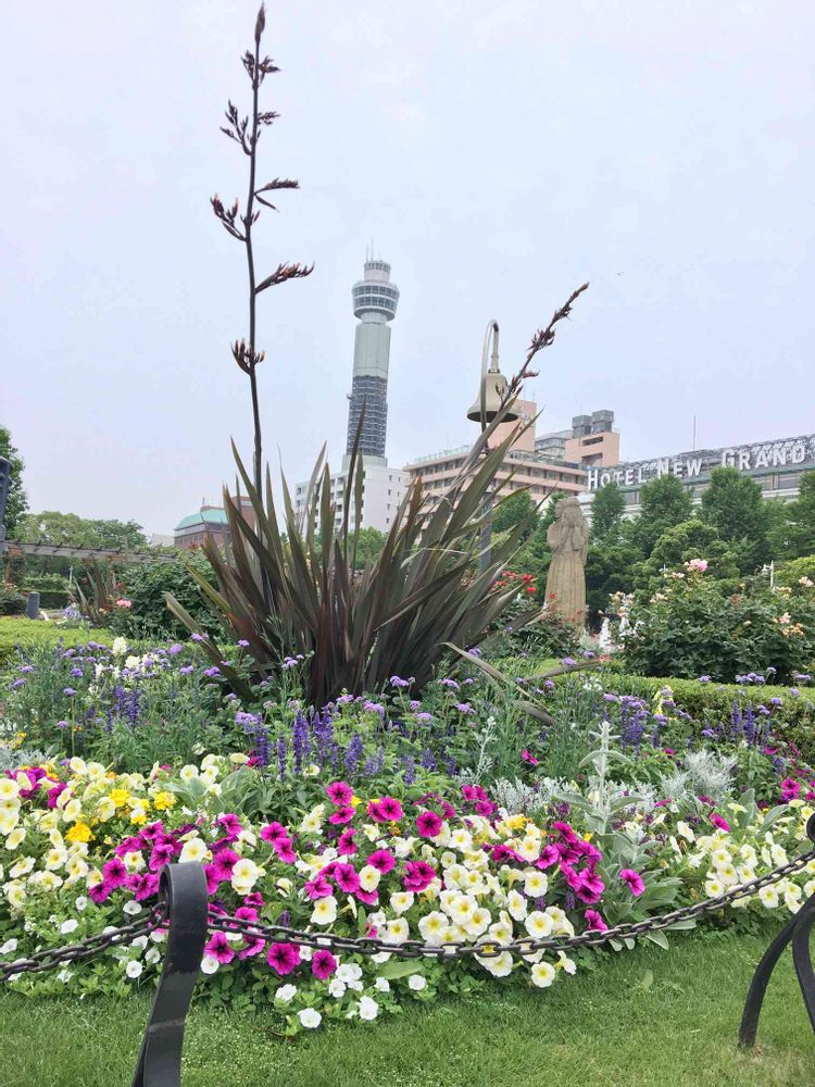 ronさんの山下公園への投稿