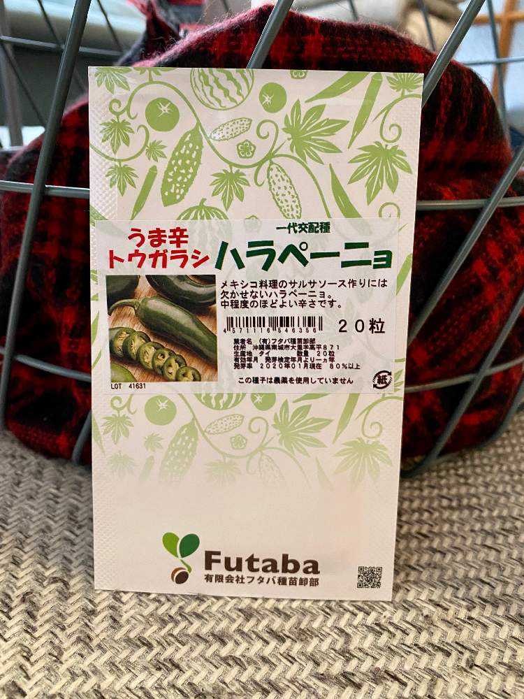 海外並行輸入正規品 種子 うま辛トウガラシ ハラペーニョ フタバ種苗のタネ