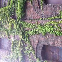 アイビー,舞鶴,レトロな建物の画像