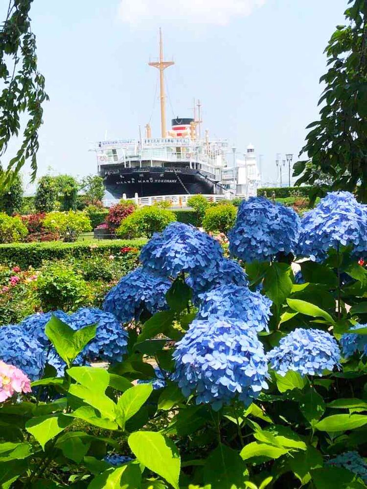 【公式】ガーデンネックレス横浜さんの港の見える丘公園への投稿