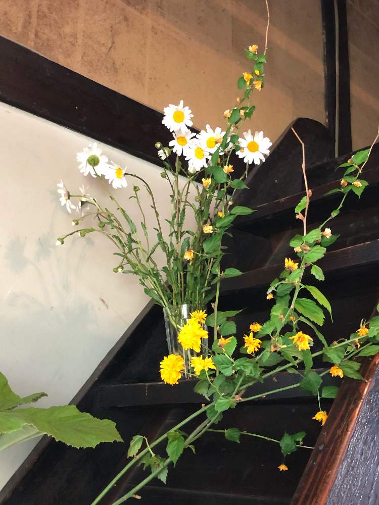 リフレッシュして 元気になる 花飾りフォトコンテストの投稿画像 By You Koさん 月6月8日 Greensnap グリーンスナップ