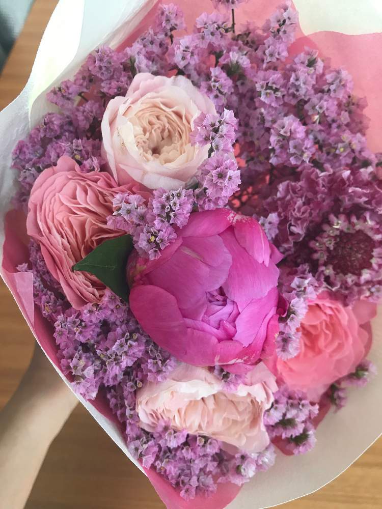 ハイブリッド スターチスの投稿画像 By Emma S Garden さん 相談とこの花なんだろう とお誕生日プレゼントと花束と母の日 月6月8日 Greensnap グリーンスナップ