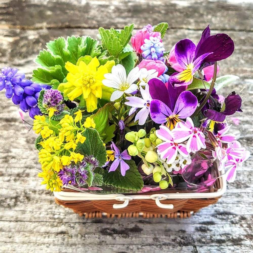 リフレッシュして 元気になる 花飾りフォトコンテストの投稿画像 By Eさん 月6月9日 Greensnap グリーンスナップ