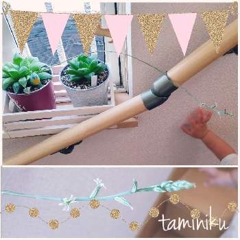 ハオルチア レツーサ 寿の投稿画像一覧 Greensnap グリーンスナップ