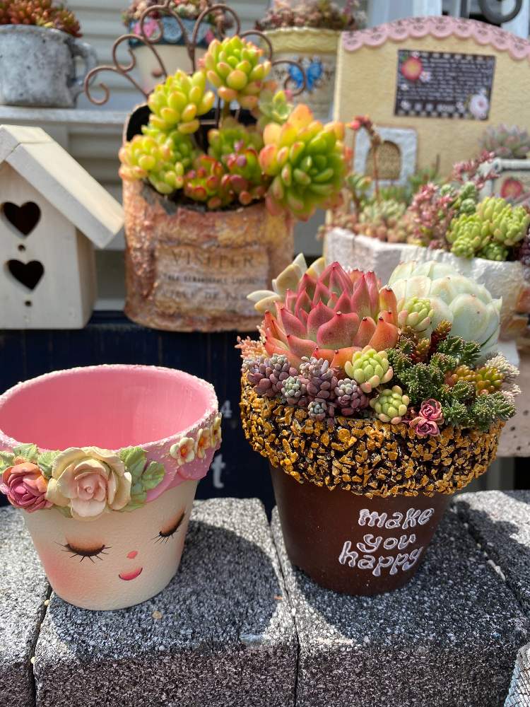 エバニュー リメイク鉢 ハンドメイド✨パープルローズ 多肉植物寄せ