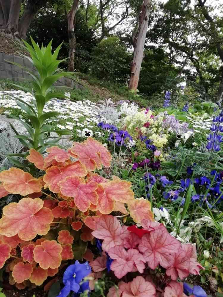 komorebi sumire さんの港の見える丘公園への投稿